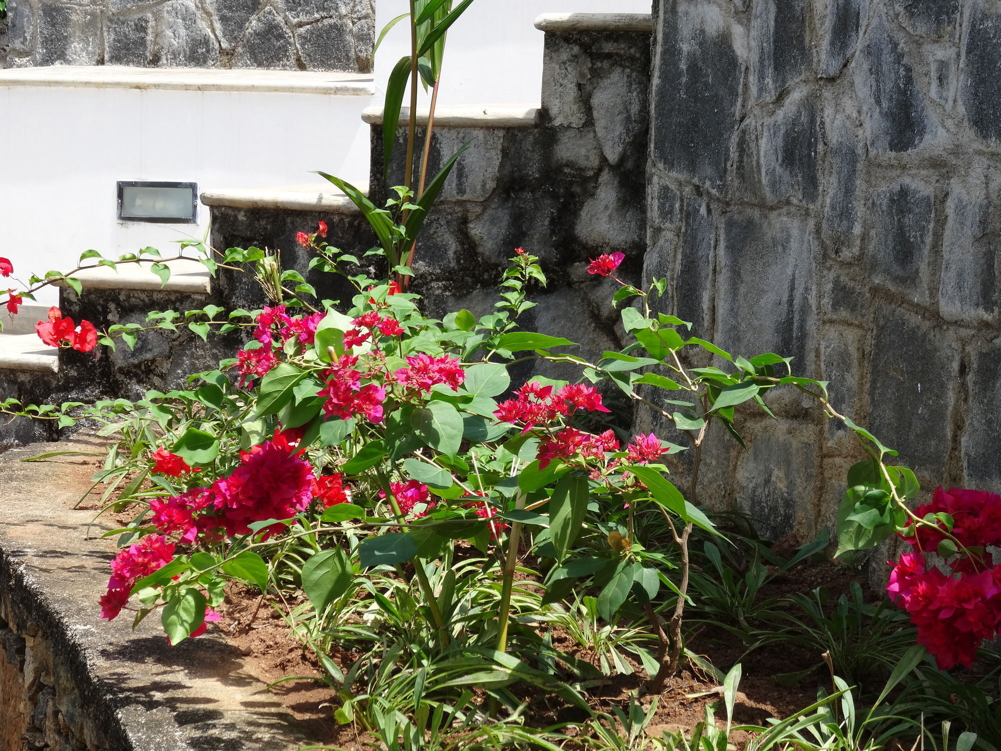 Amandari Holiday Villa Gelioya Exterior foto